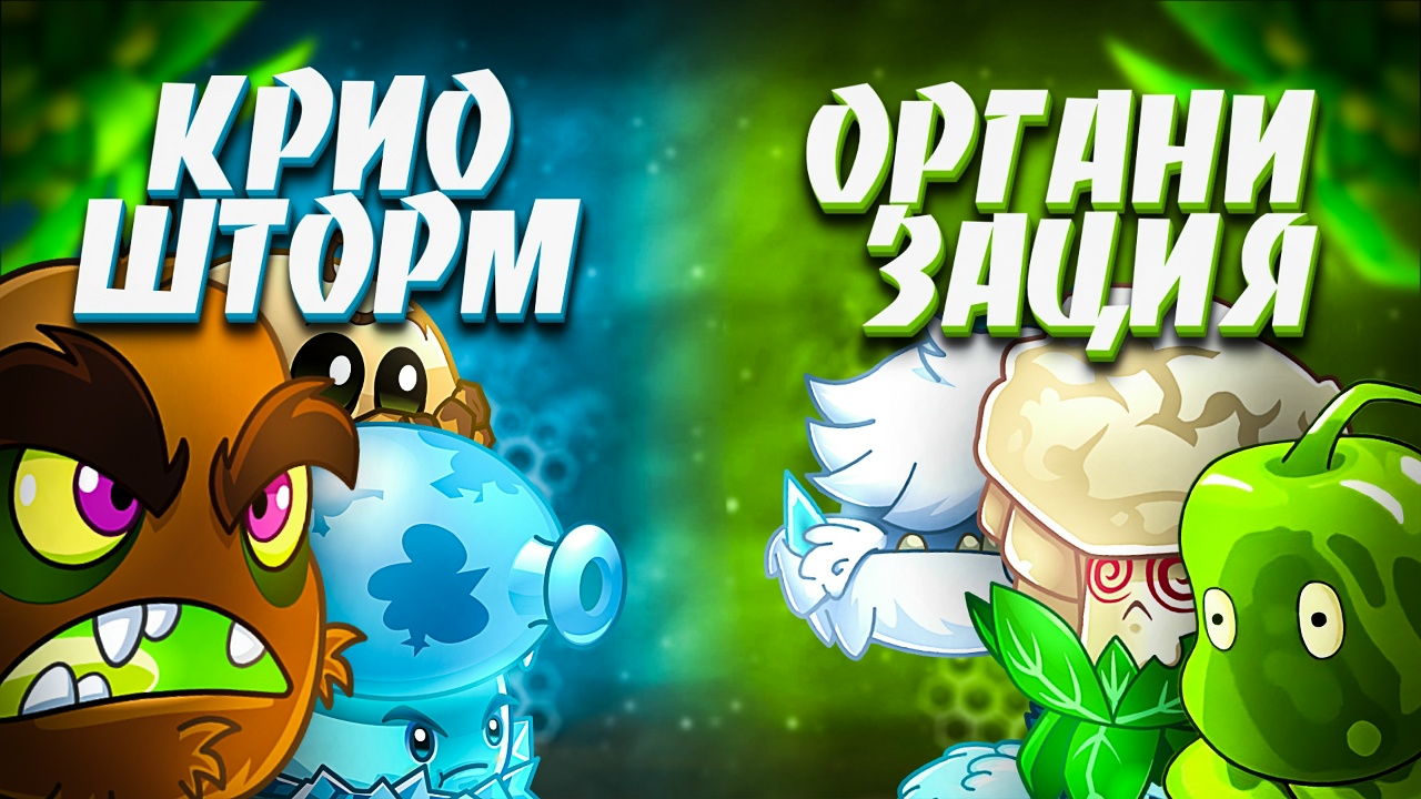 Акебия гибридная