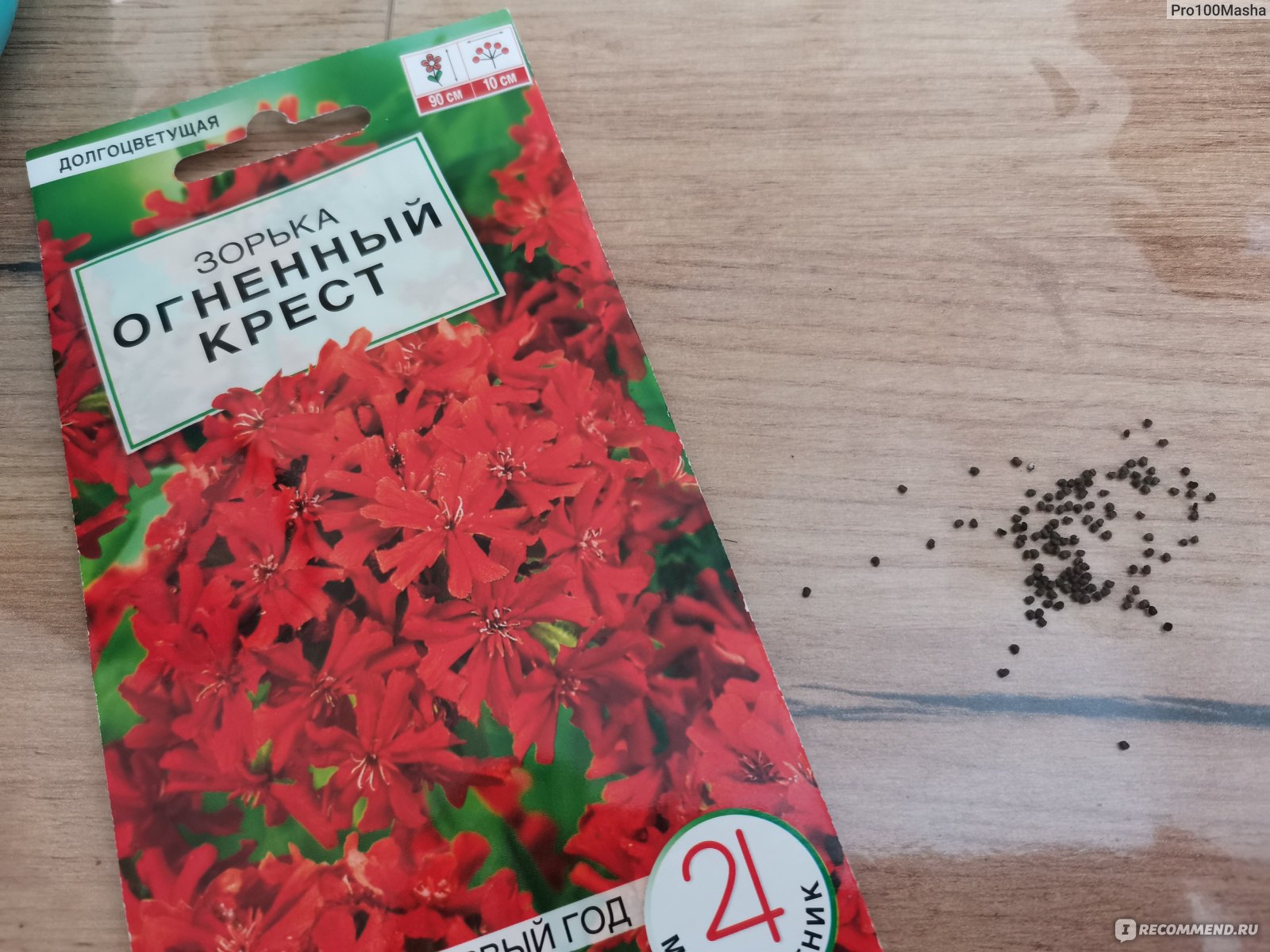 Клён татарский