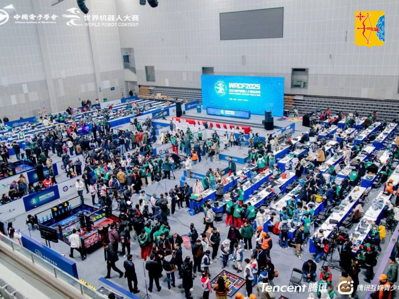 Айва китайская