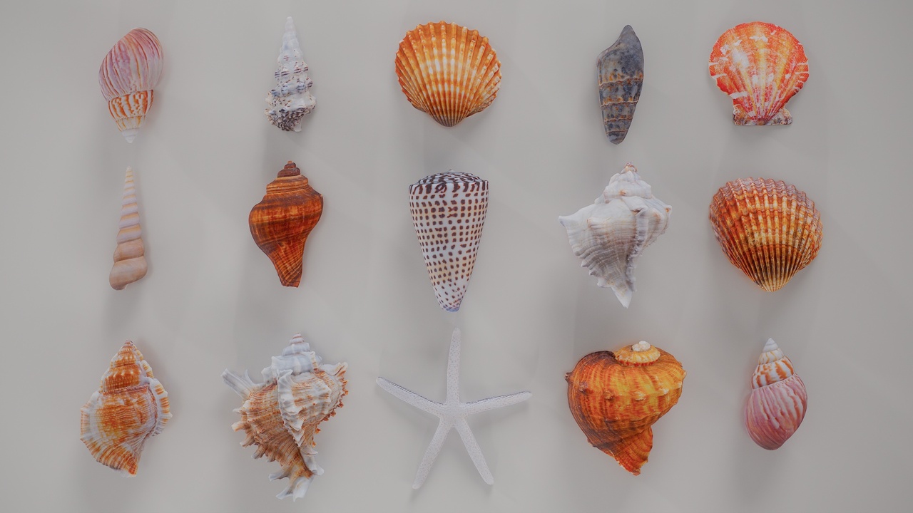 Горец Горец