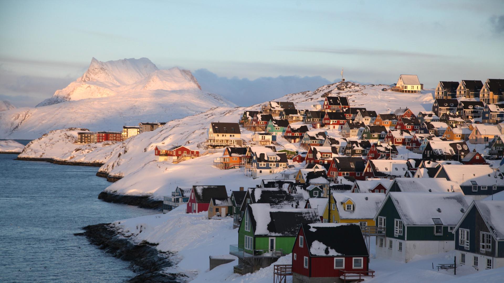 Ясень американский