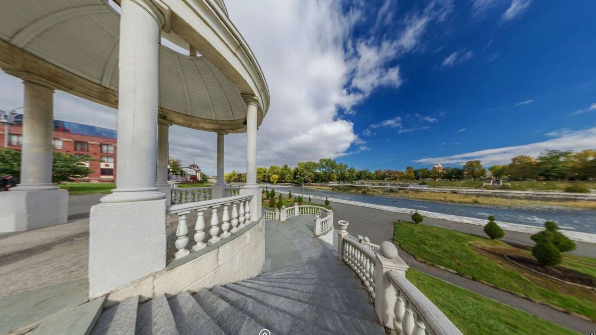 Липа кавказская Липа кавказская