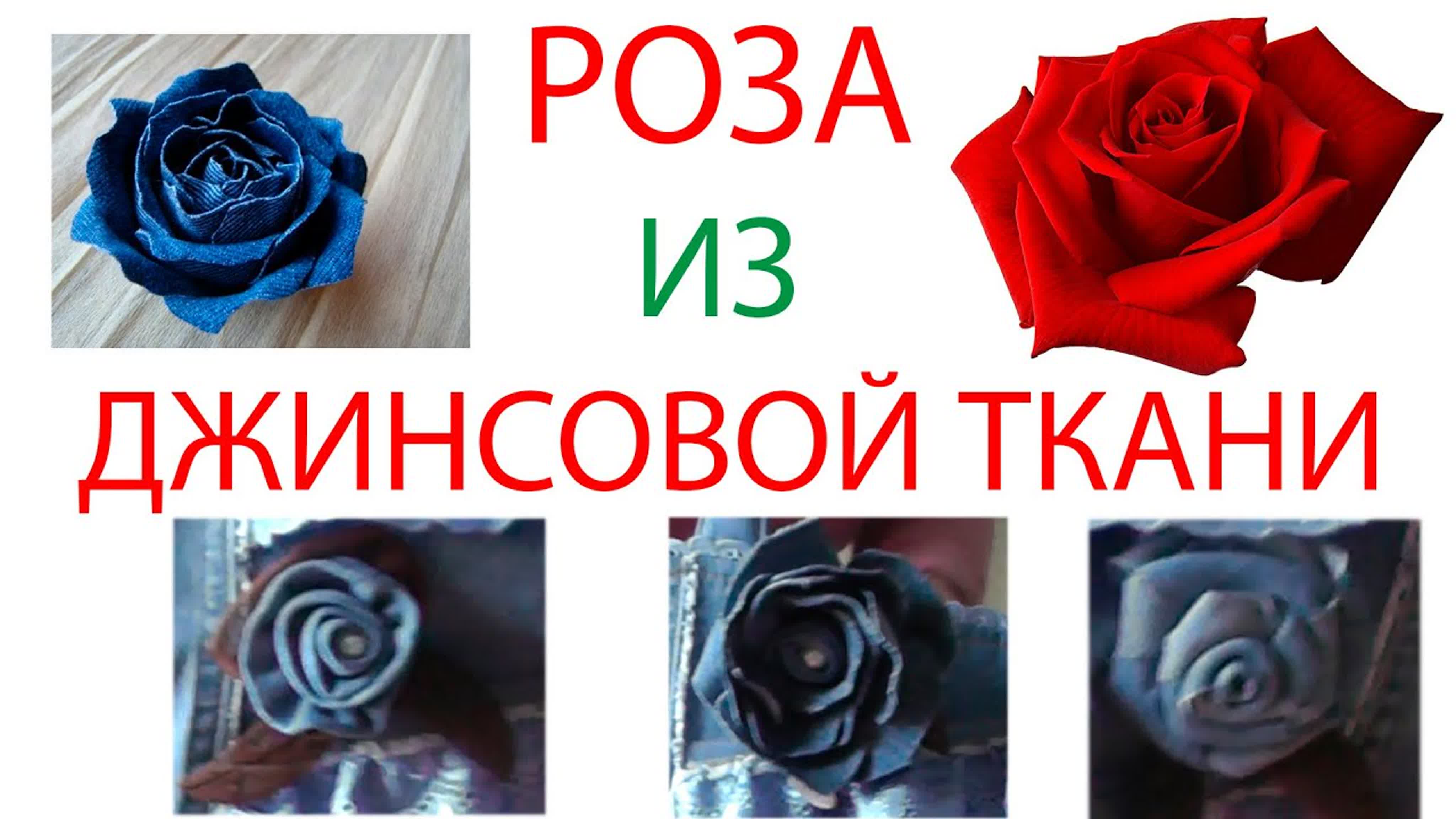 Роза желтая