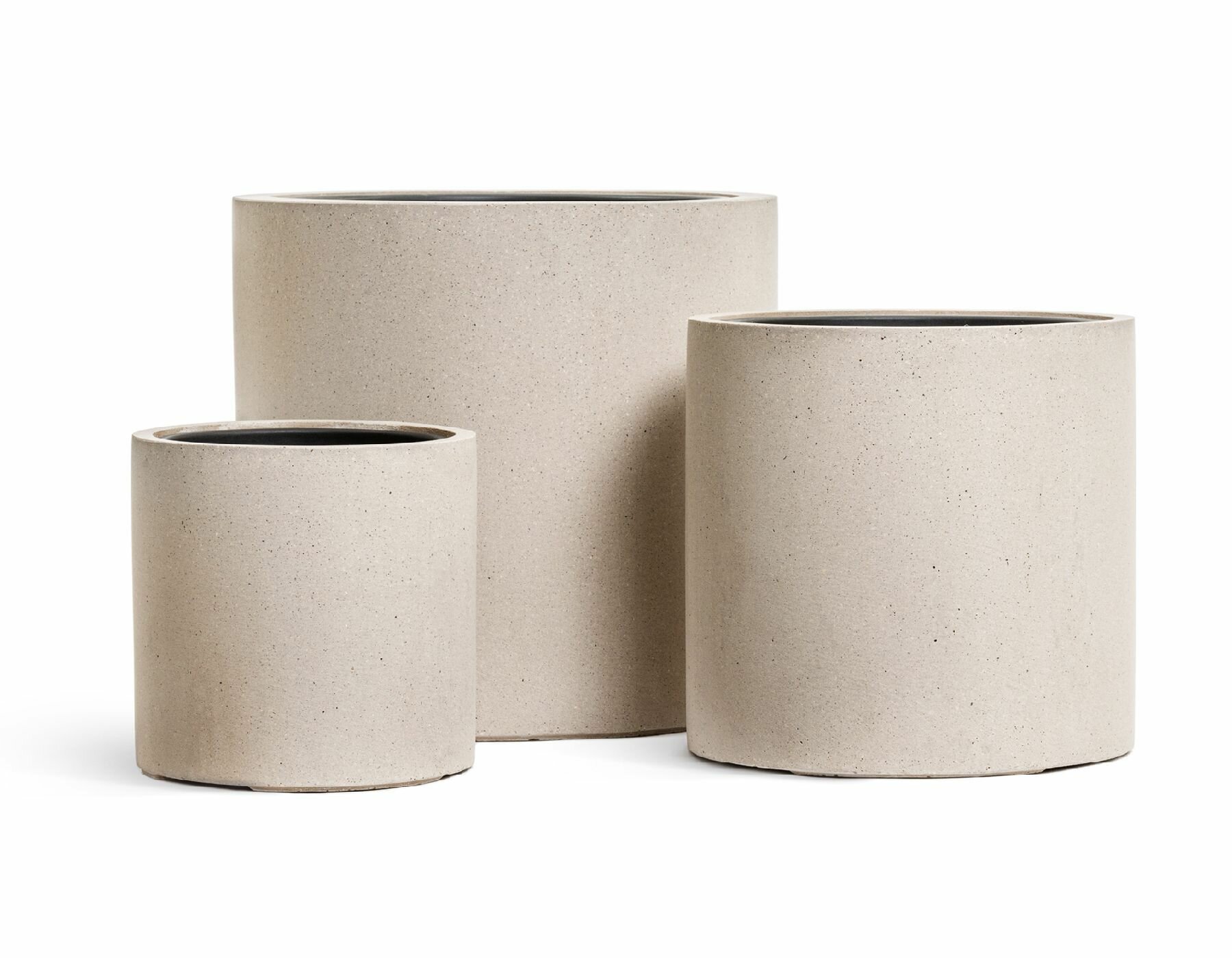 Дерен белый