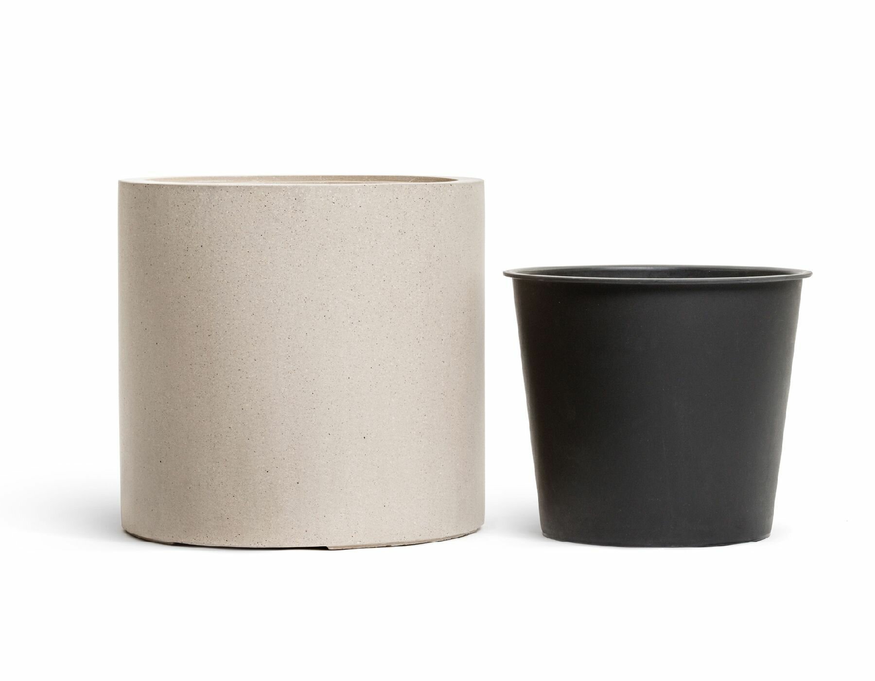 Тополь белый Тополь белый