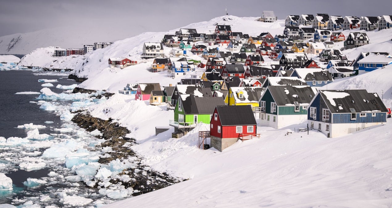 Базелла белая