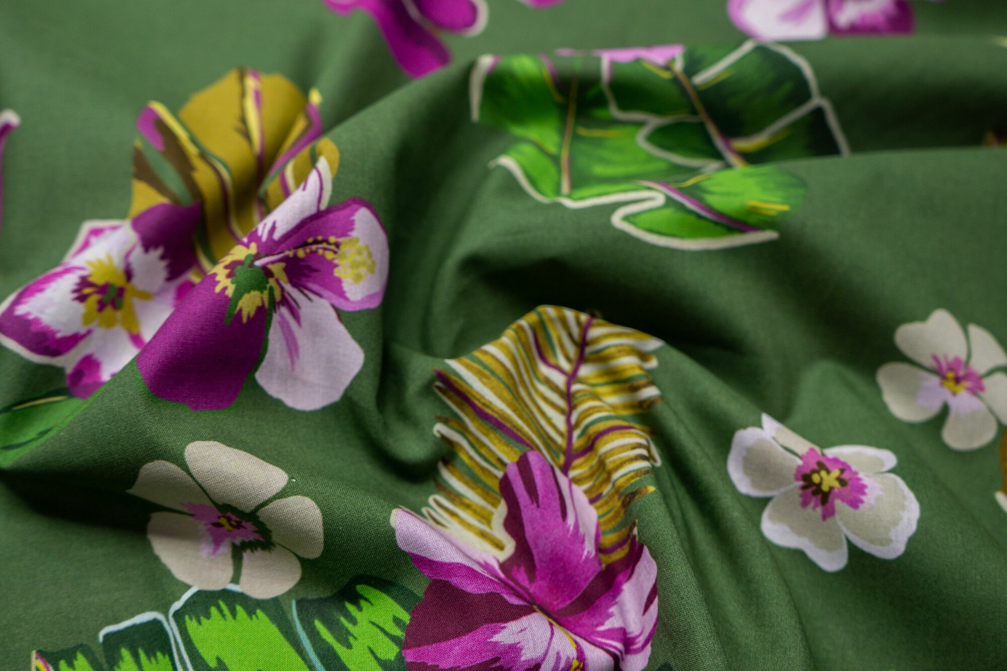 Бархат китайский