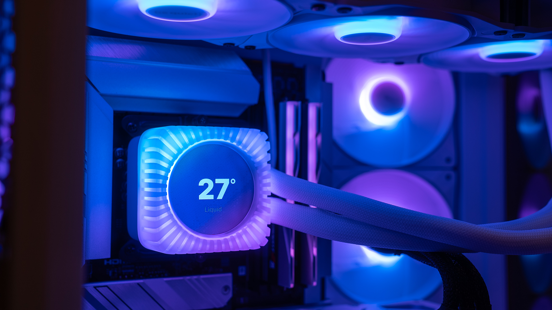 Башмачок белоснежный Башмачок белоснежный