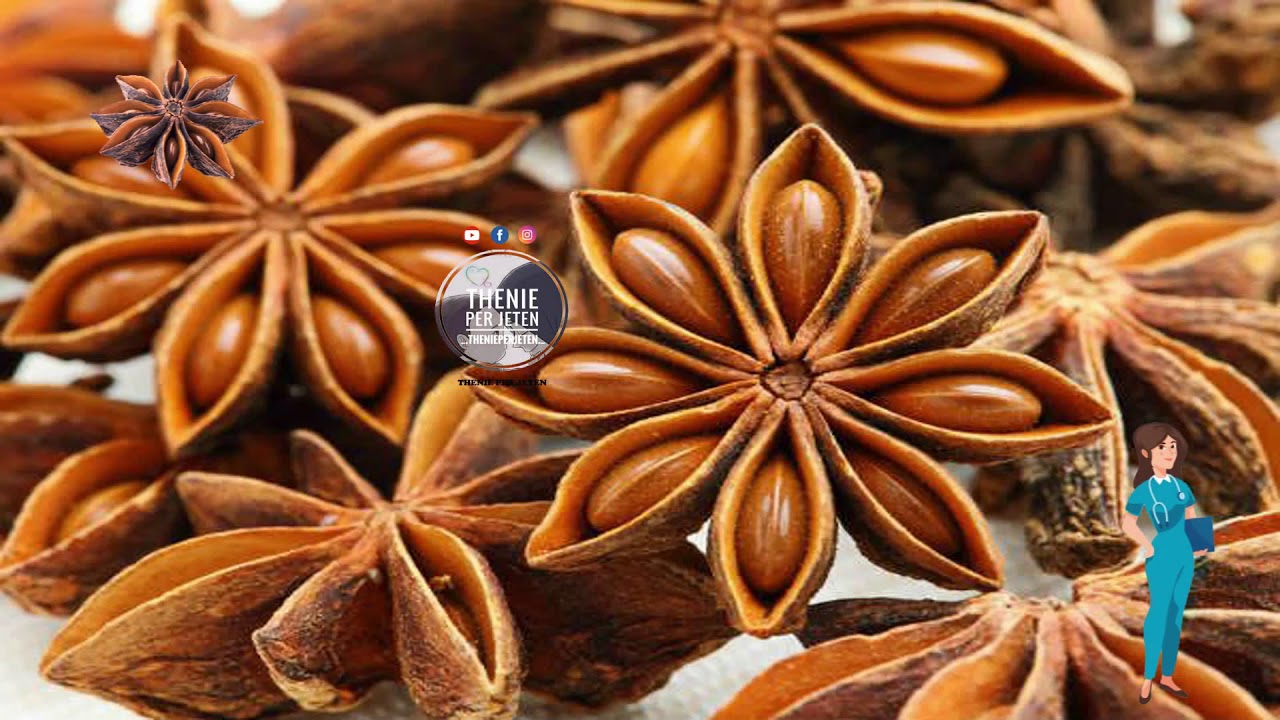 Бадьян настоящий