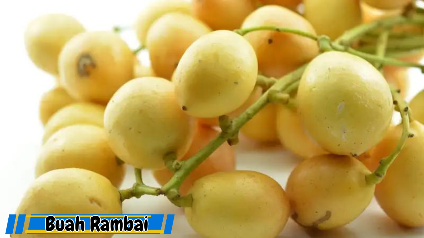 Баккорея вкусная