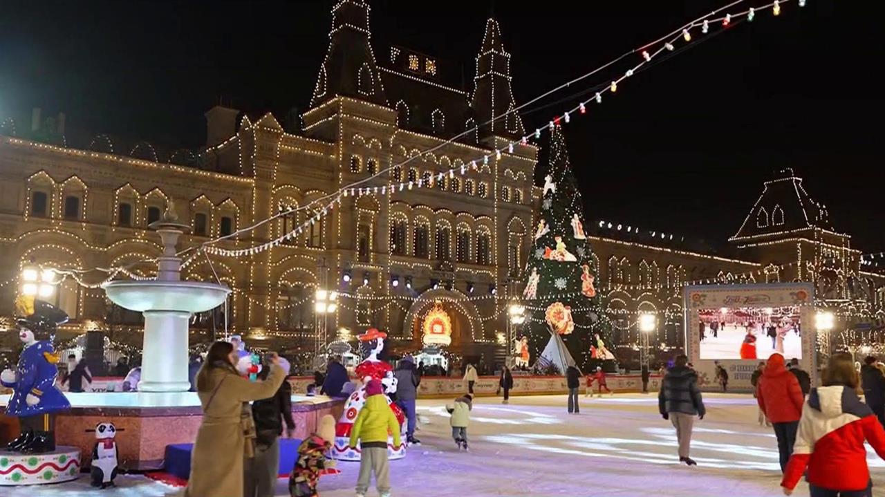 Роза французская