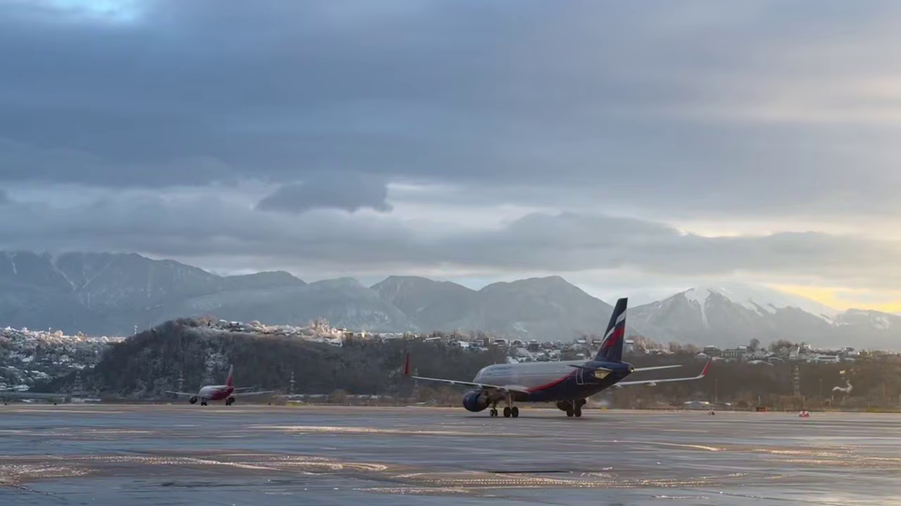 Ольха красная