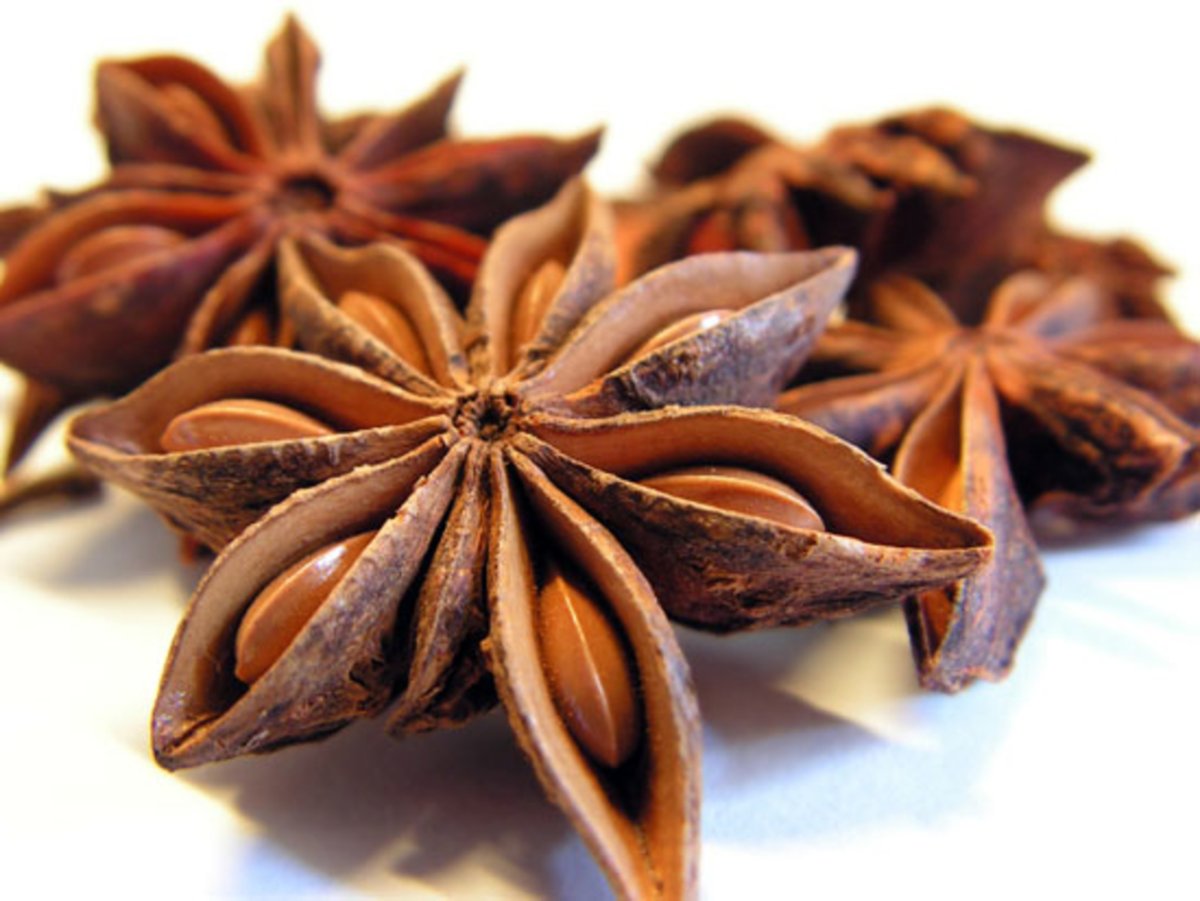 Бадьян анисовый
