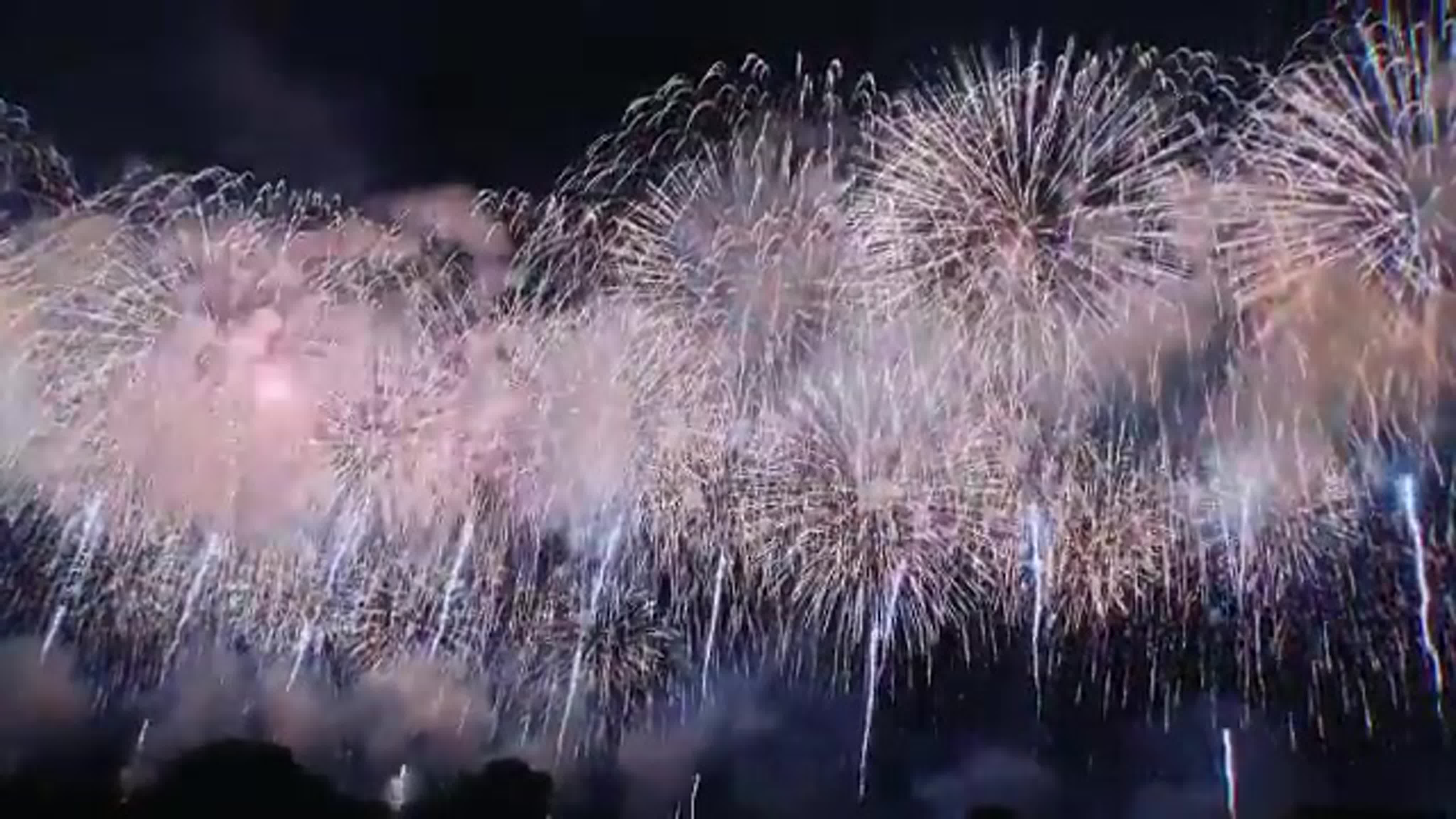 Каштан японский