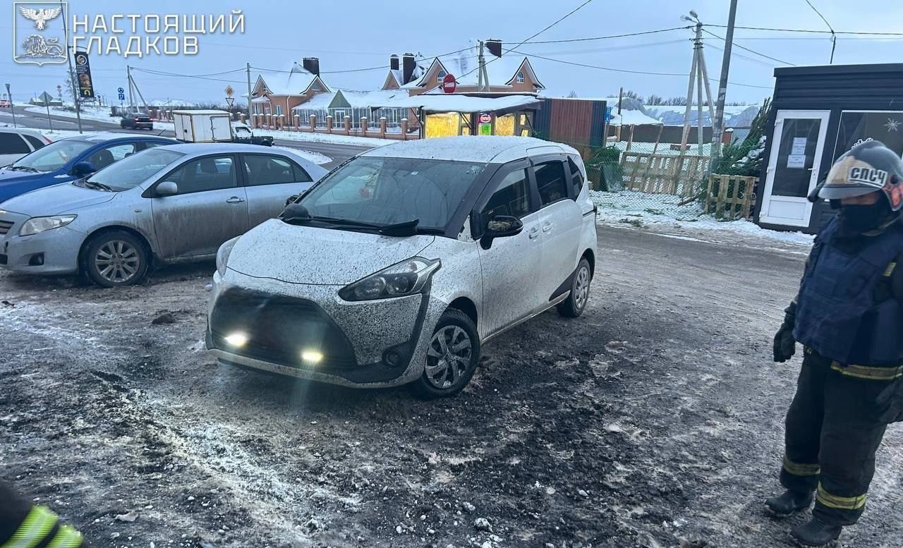 Лапчатка белая