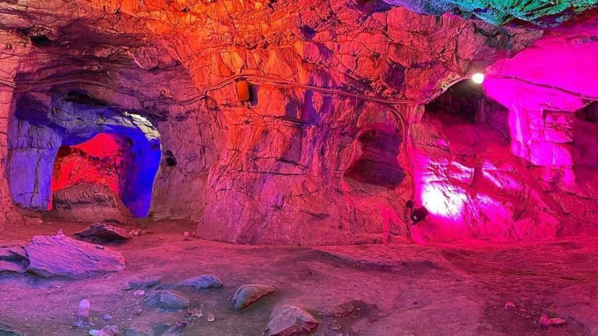 Бадьян настоящий