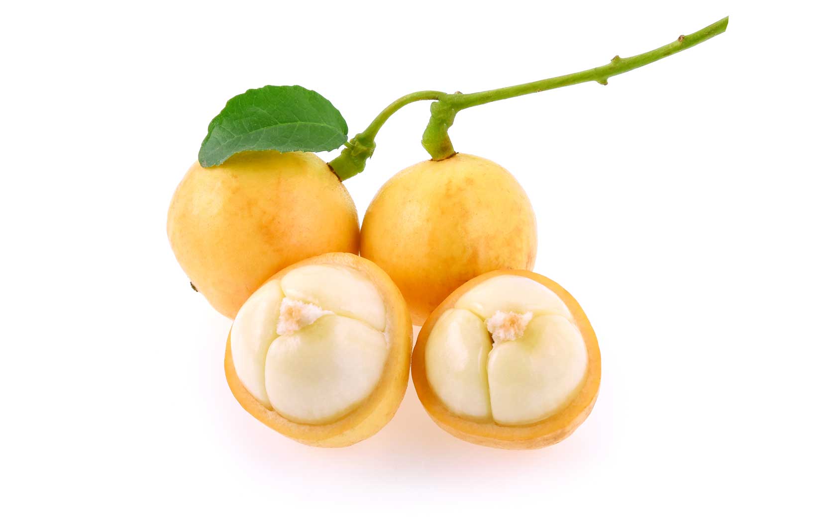 Баккорея вкусная