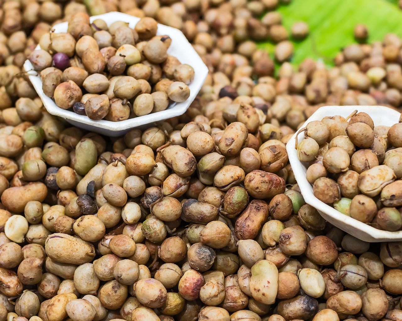 Бамбарский земляной орех