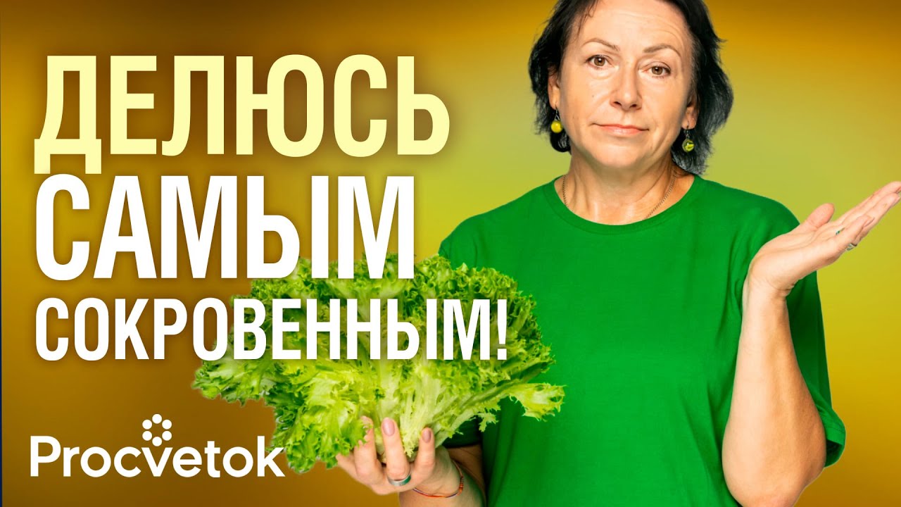 Снежноягодник китайский