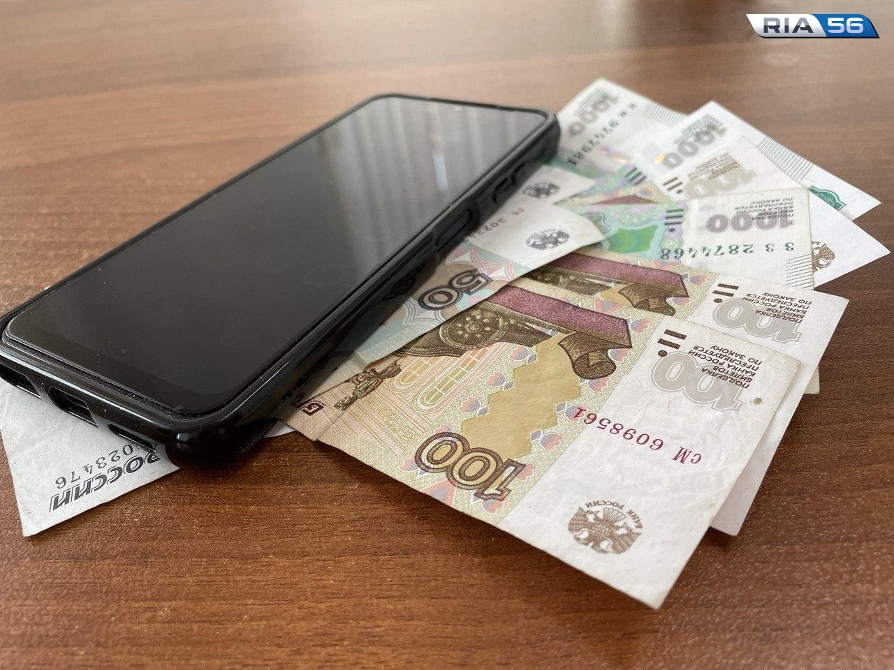 Дерен белый