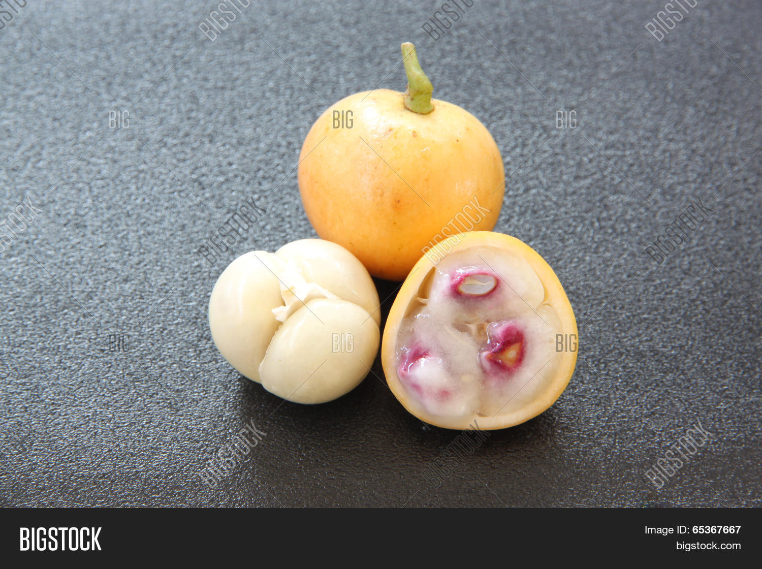 Баккорея Мотли Баккорея Мотли