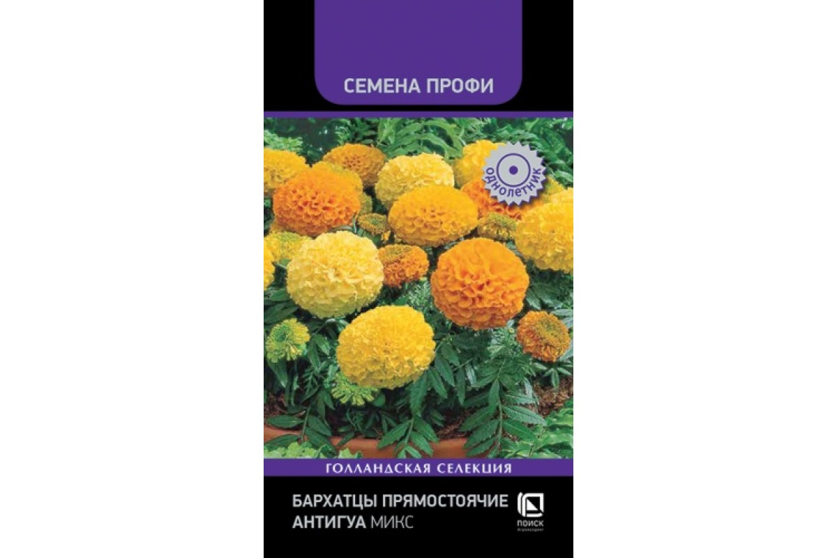 Бархатцы прямостоячие Бархатцы прямостоячие