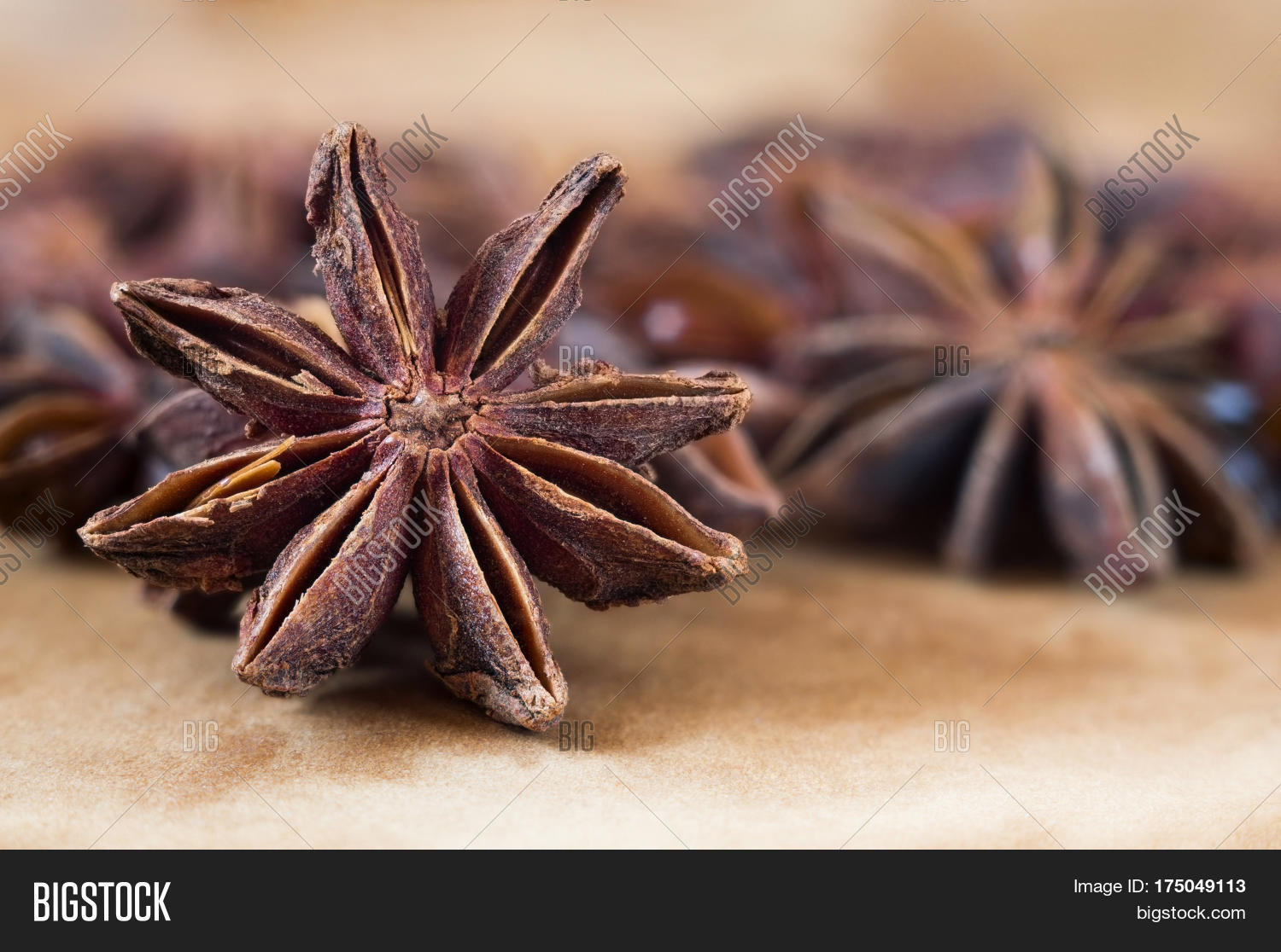 Бадьян настоящий