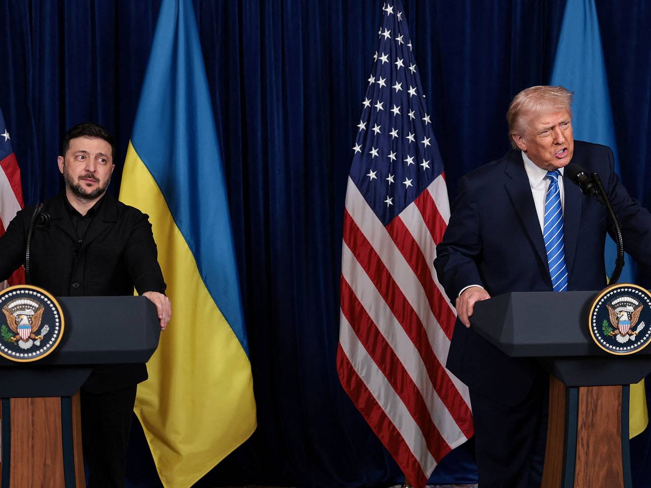 Ясень зеленый Ясень зеленый