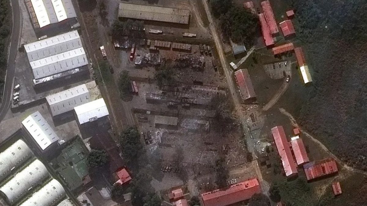 Пузыреплодник западный