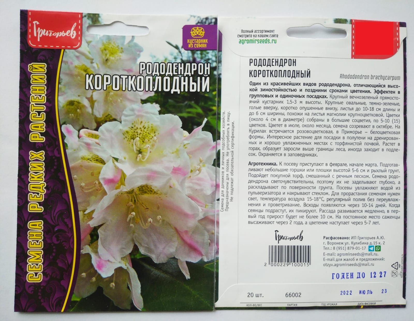 Рододендрон короткоплодный