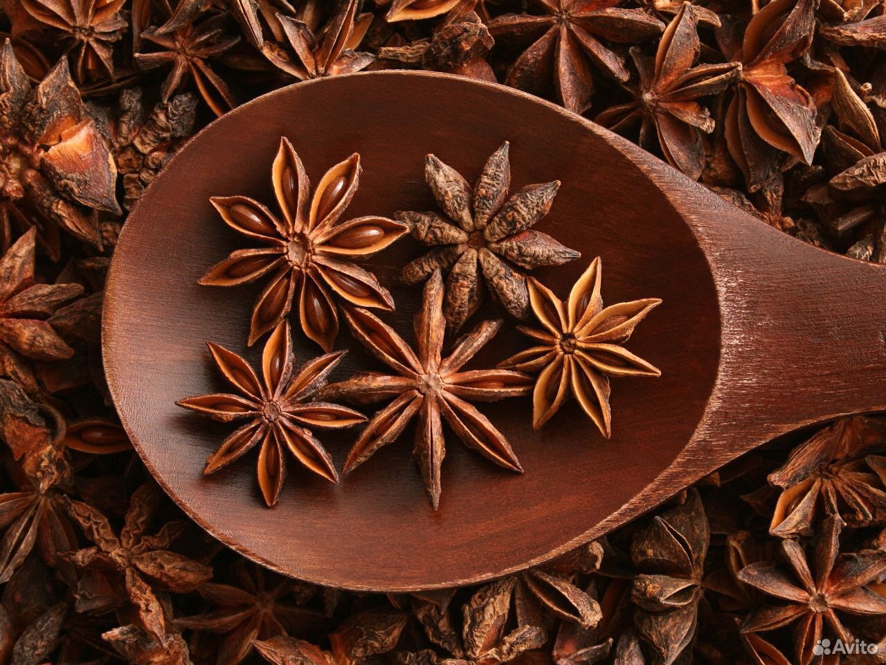 Бадьян анисовый
