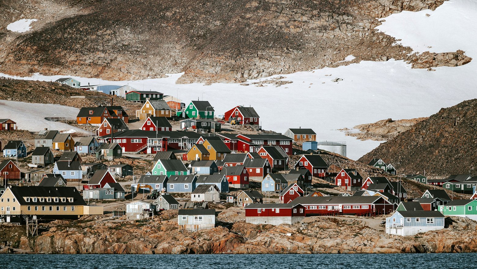 Скумпия американская