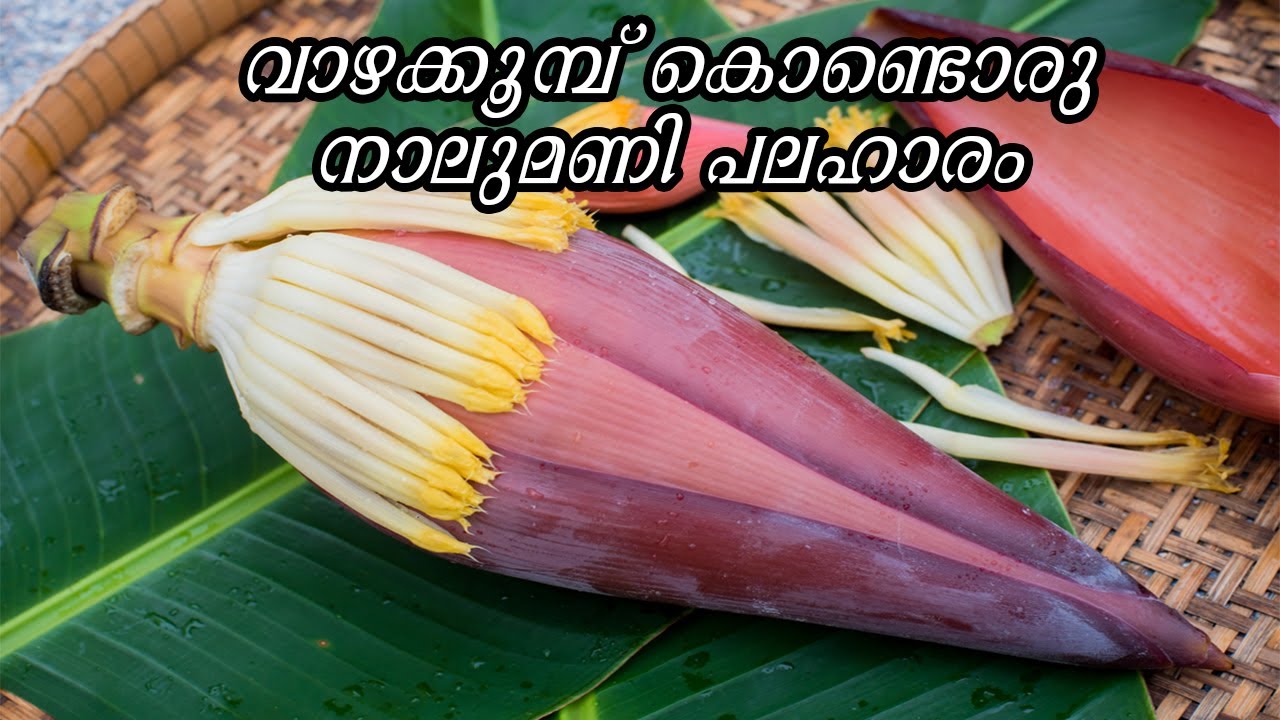 Банан дарджилингский