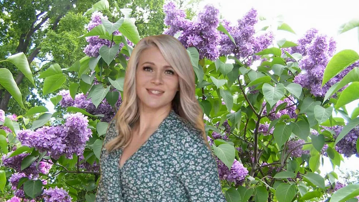 Сирень обыкновенная