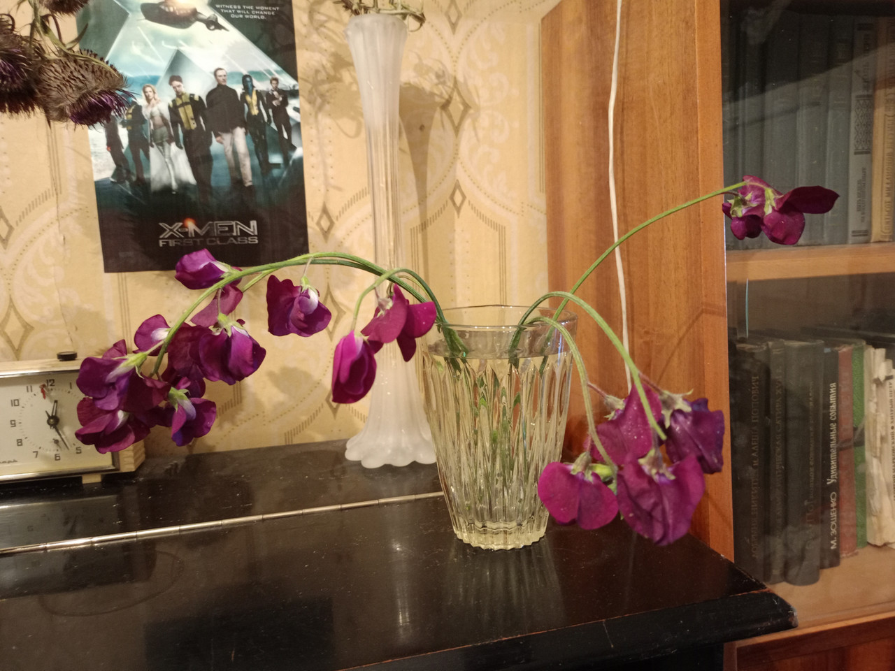 Бедренец ароматный Бедренец ароматный