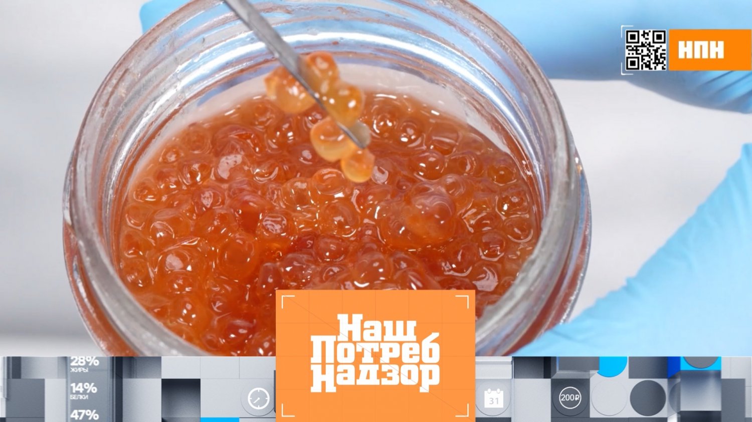 Ольха красная