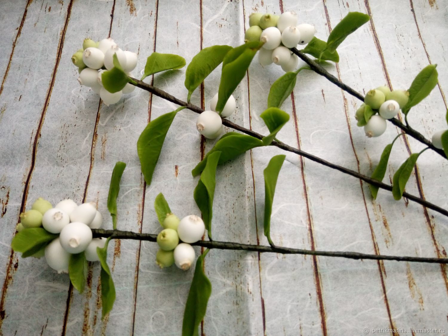 Снежноягодник