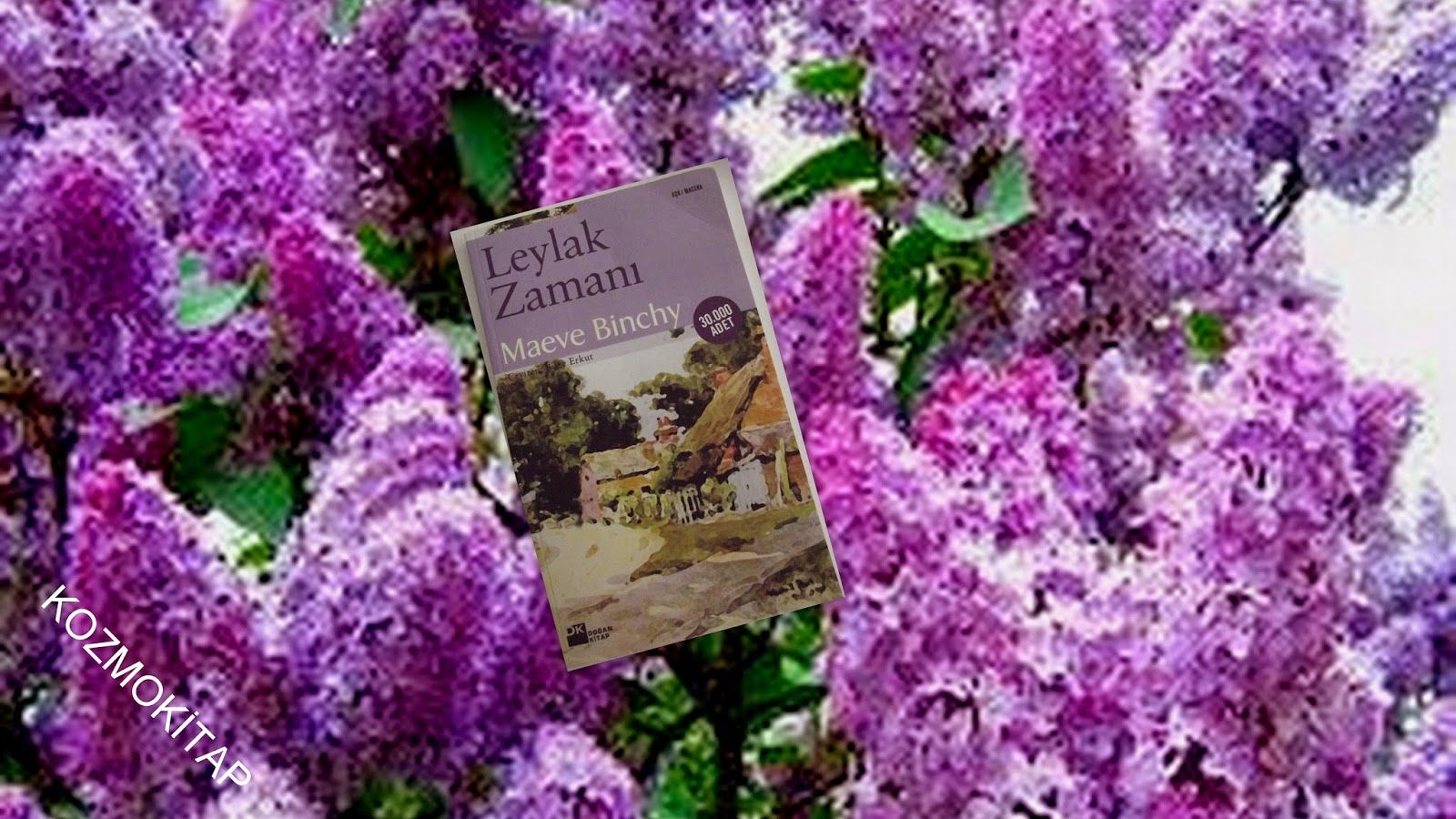 Сирень персидская