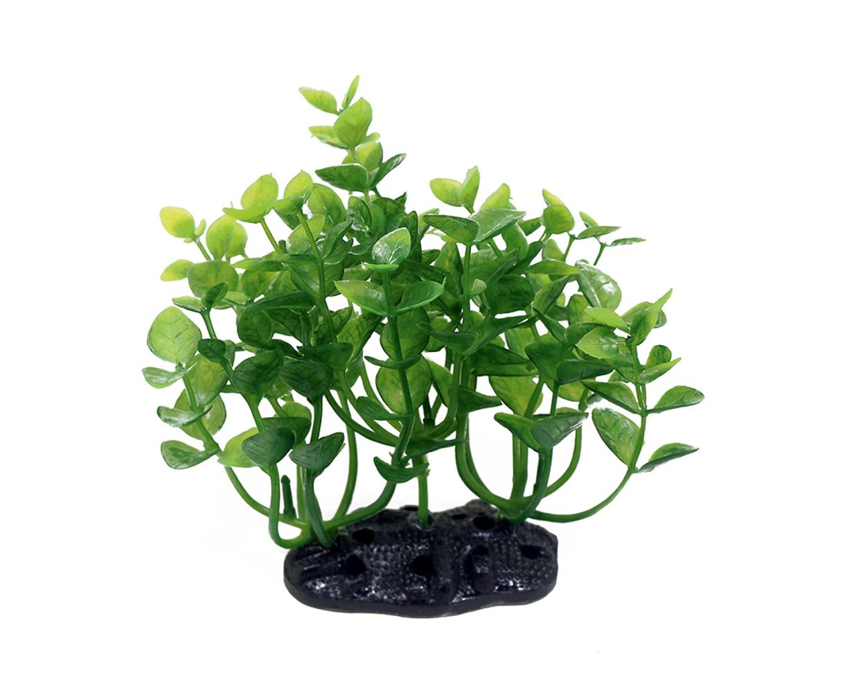 Бакопа Монье