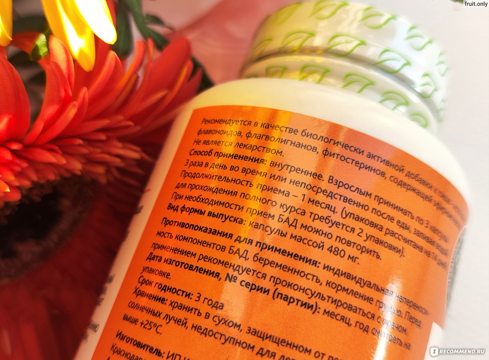 Чубушник кавказский