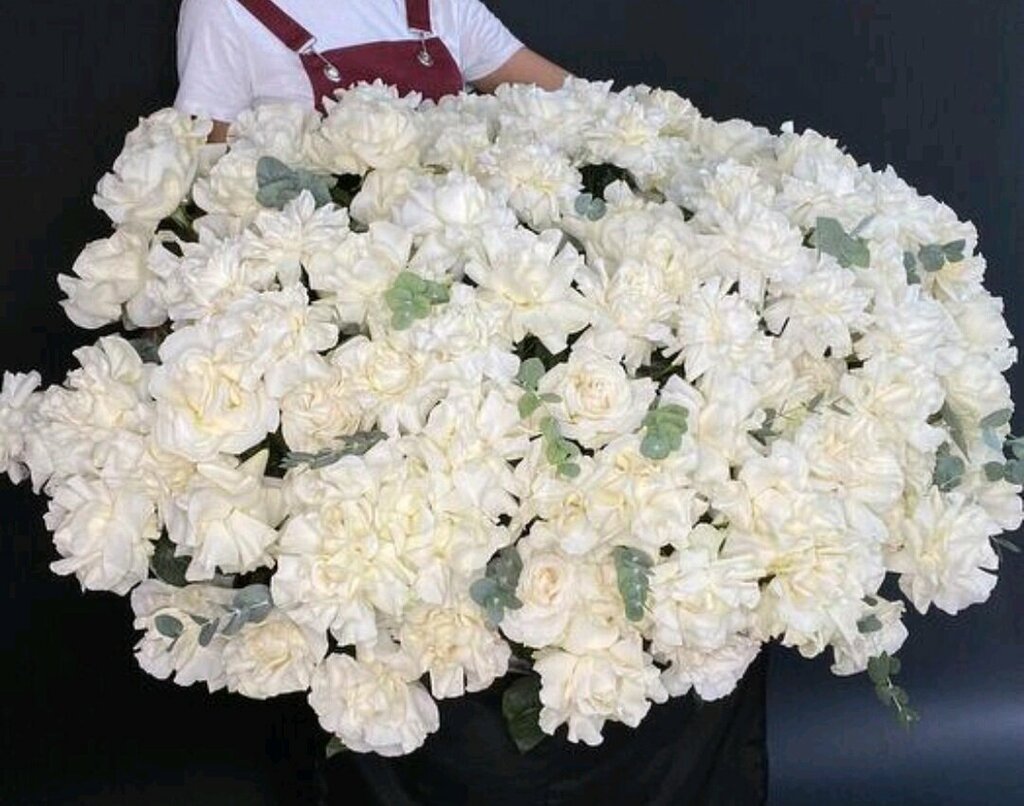 Роза французская