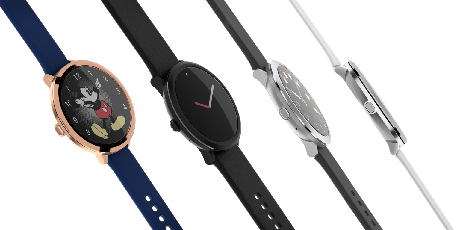 Роза плетистая Роза плетистая