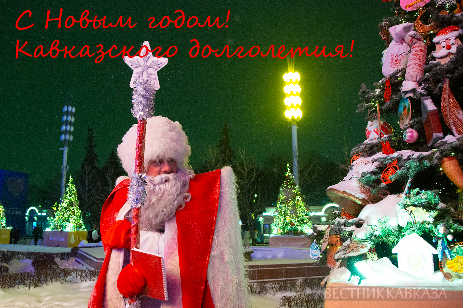 Ольха красная