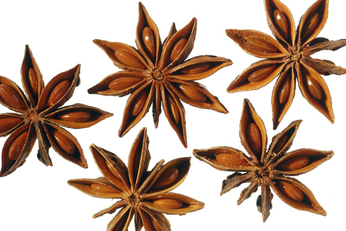 Бадьян анисовый