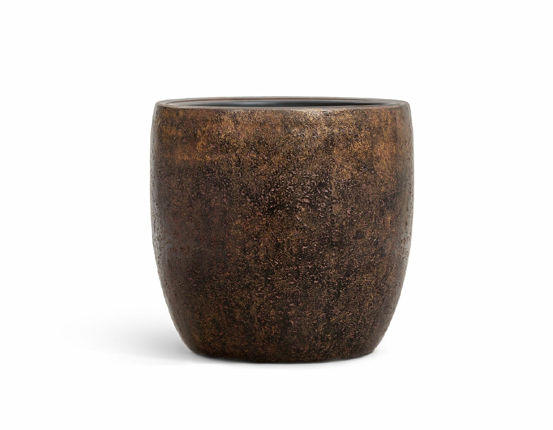 Бирючина золотистая