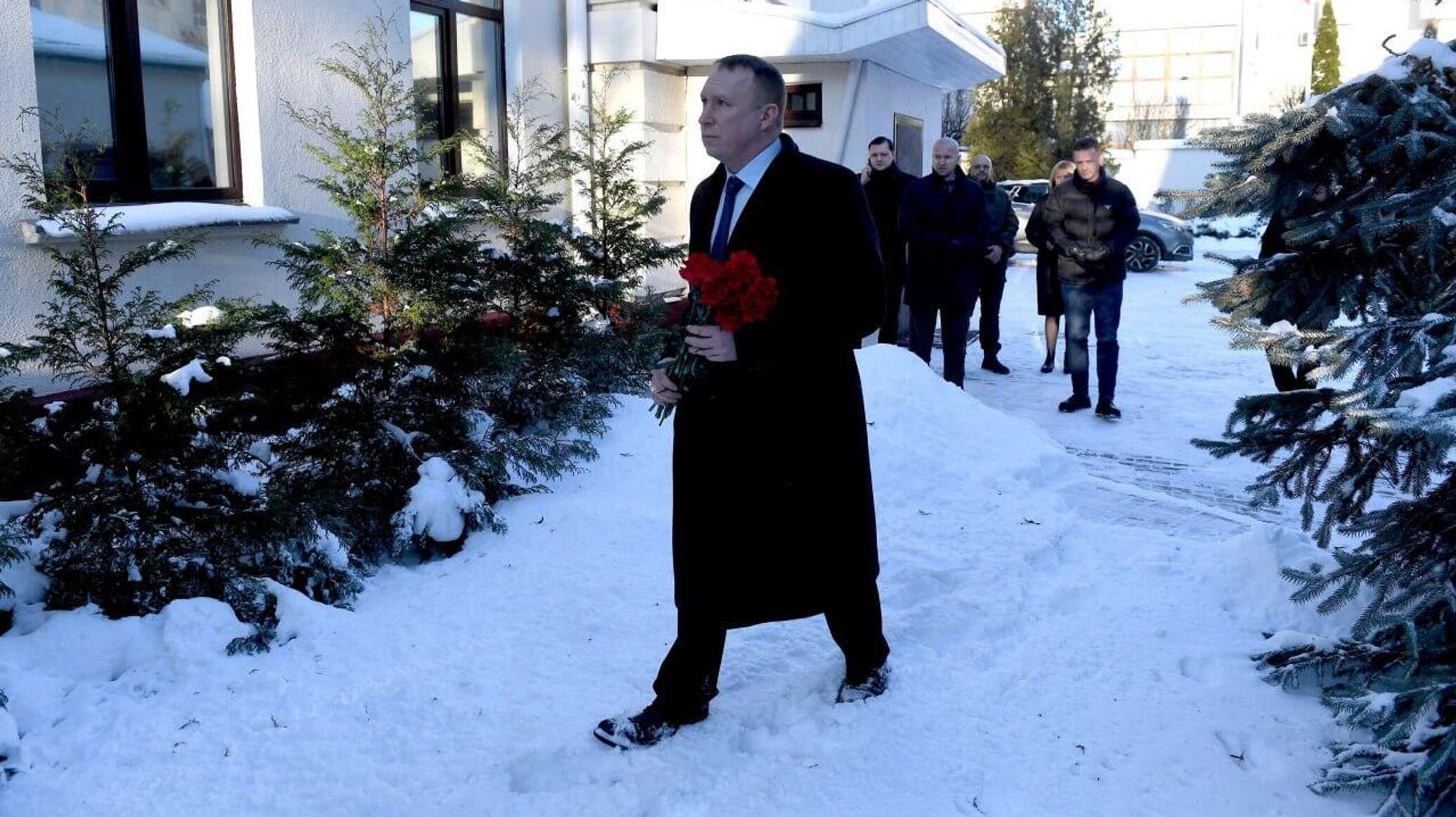 Каштан американский