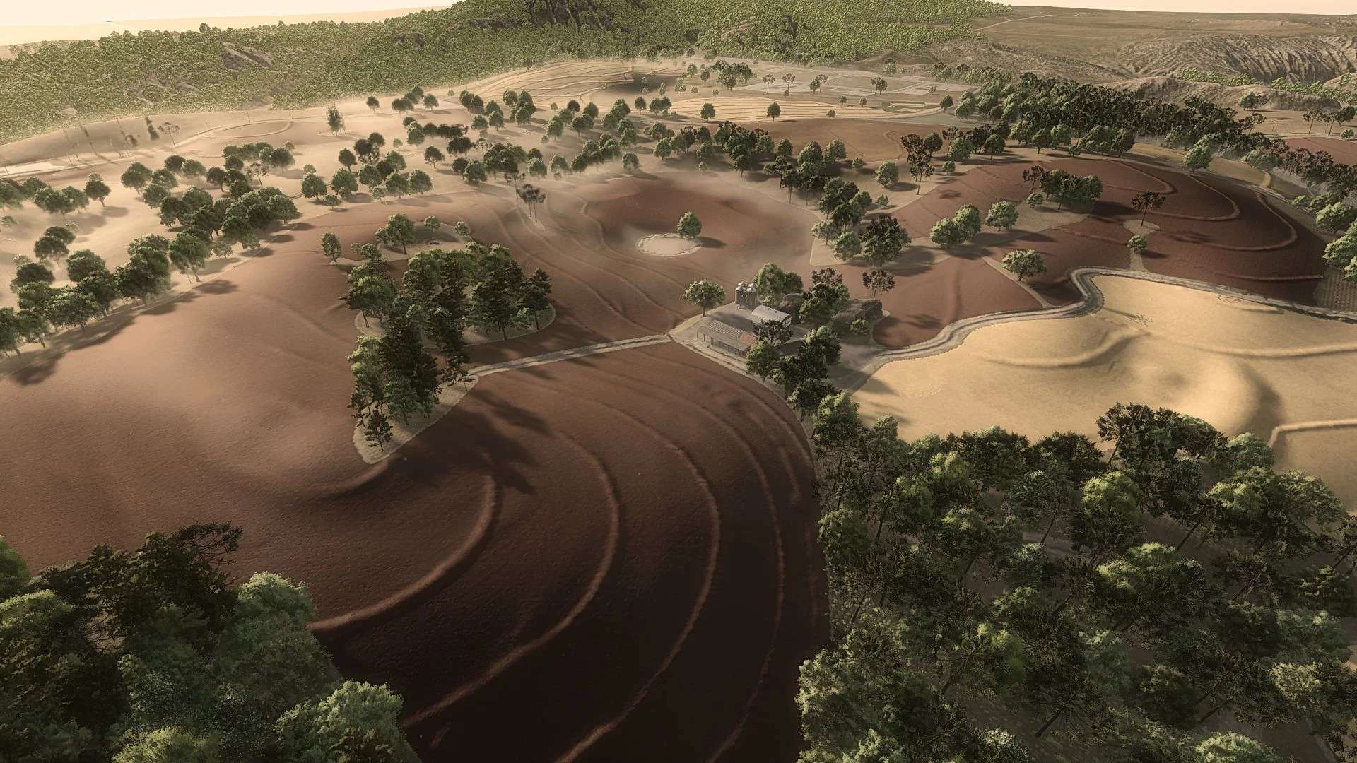 Ясень зеленый Ясень зеленый