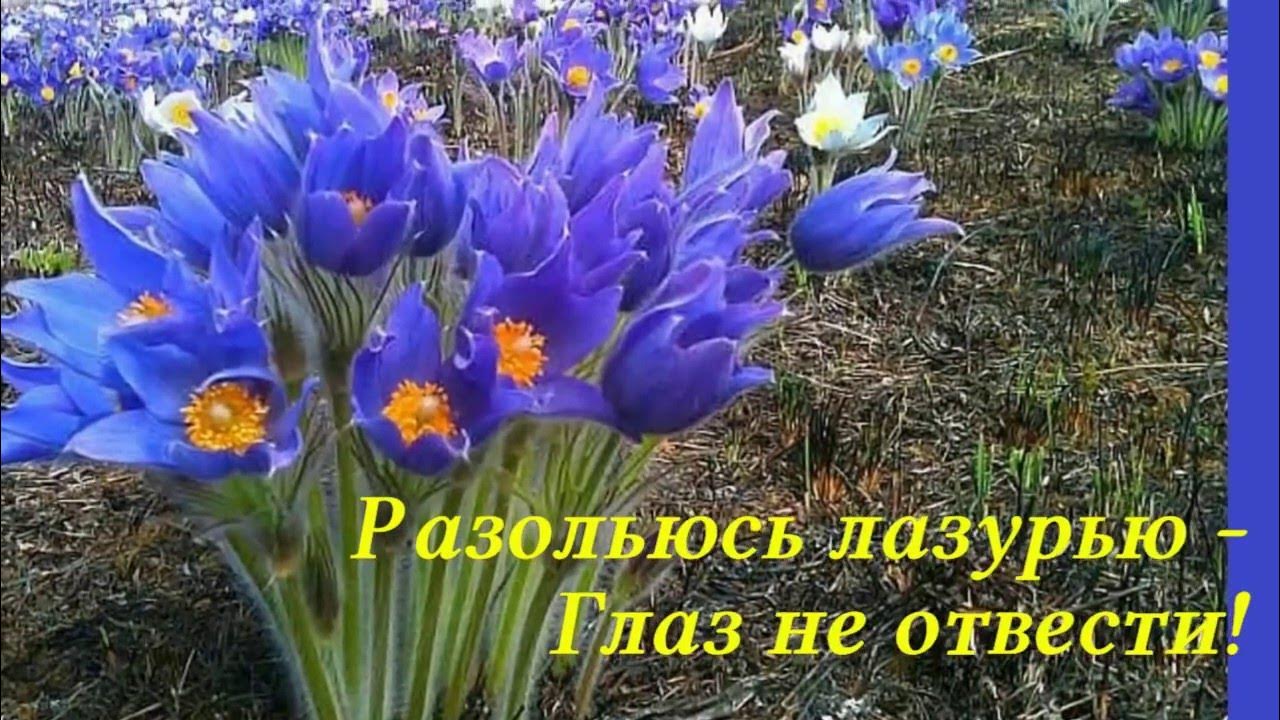 Подснежник