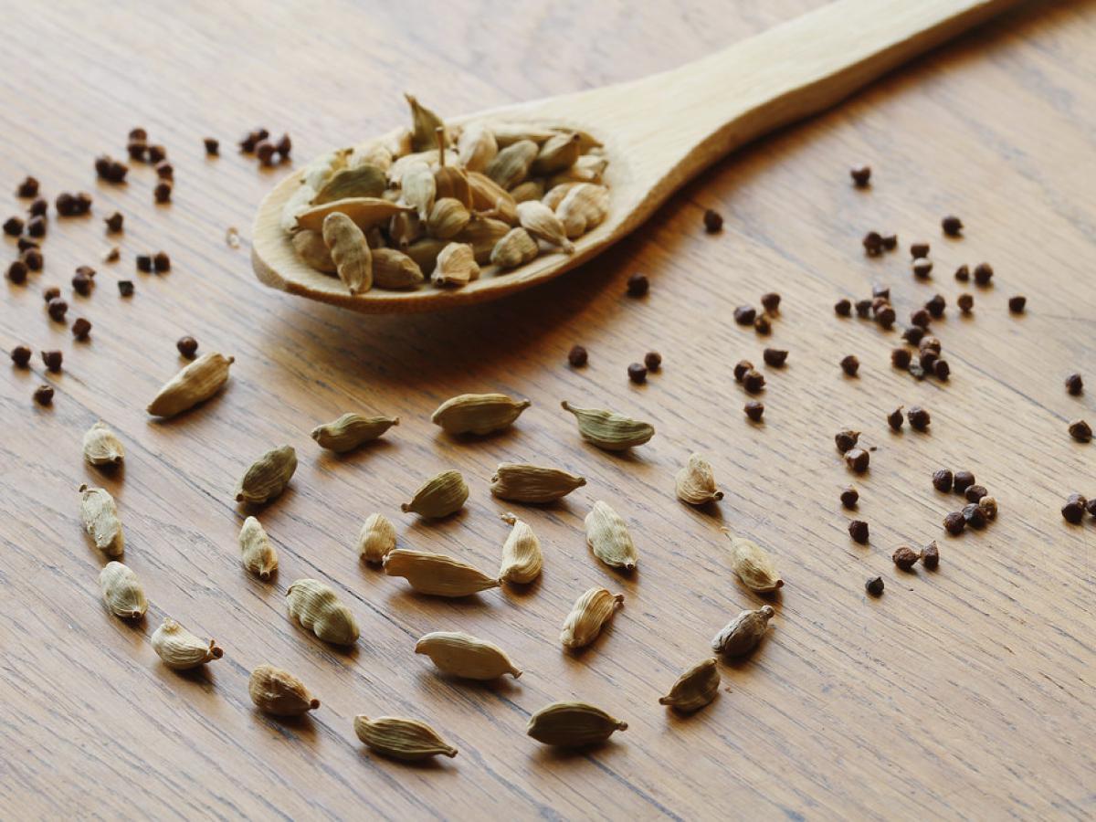 Калина душистая